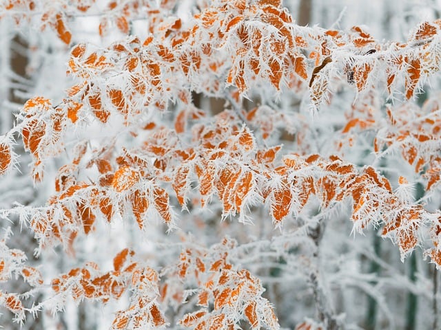frozen-pipe-thawing-640x480-80386717.jpeg