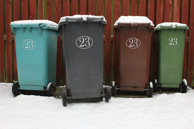 garbage disposal service