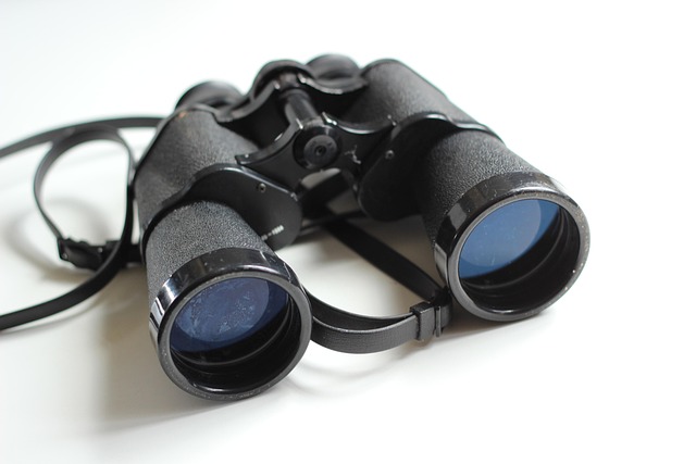 gas leak detection