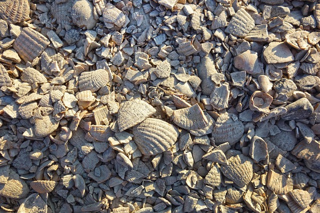 gravel driveway contractors