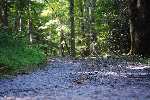 gravel-driveway-contractors-640x480-51785495.jpeg