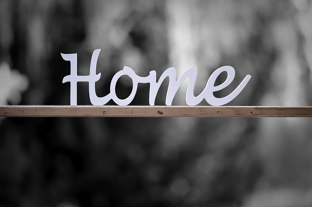 home advisor plumbers