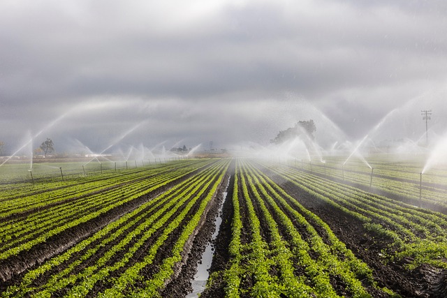irrigation leak repair
