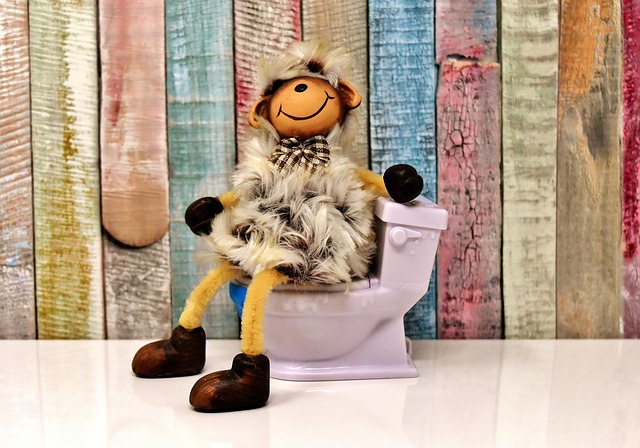knoxville-toilet-repair-640x480-89049394.jpeg