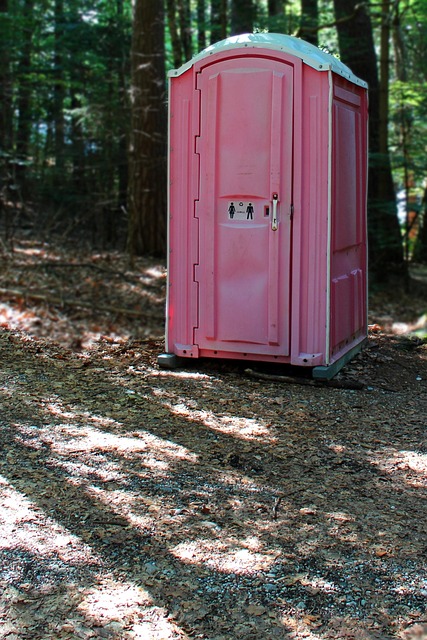 kohler toilet