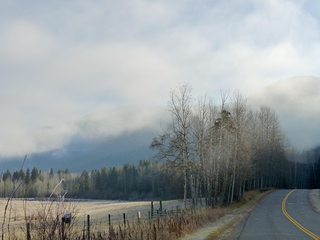 landscape-paving-640x480-1288085.jpeg