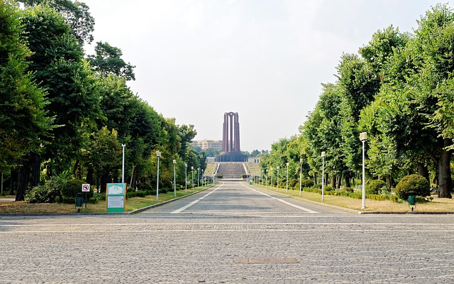 landscape paving