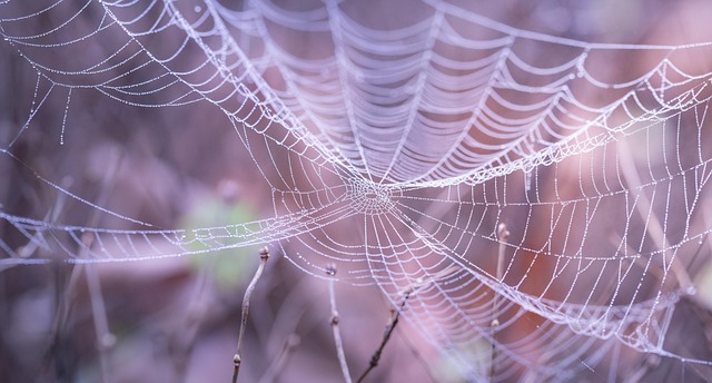 lehigh valley web design