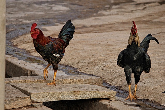local paving contractors