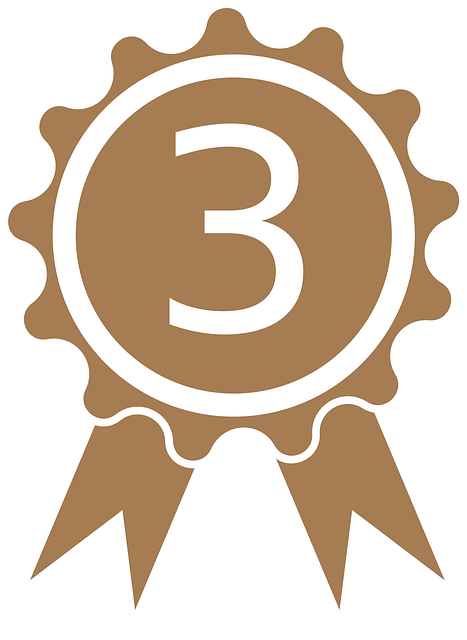 local ranking services