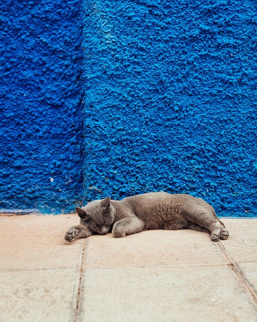 pavement marking
