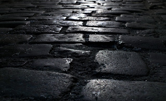 paver stone contractors