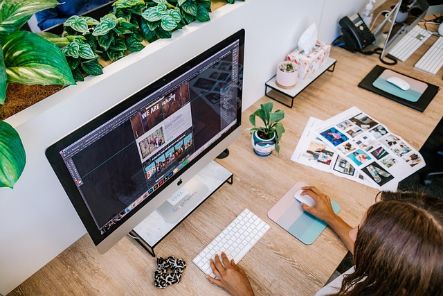 professional seo agency