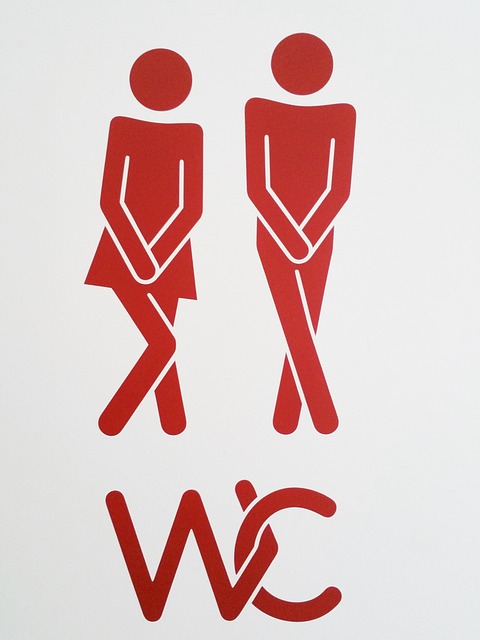 running toilet repair