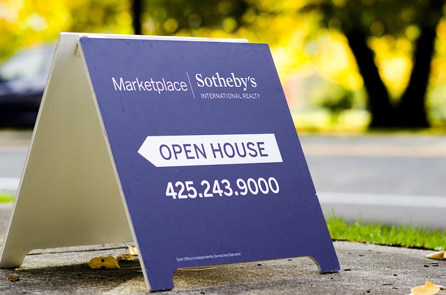 search marketing agency