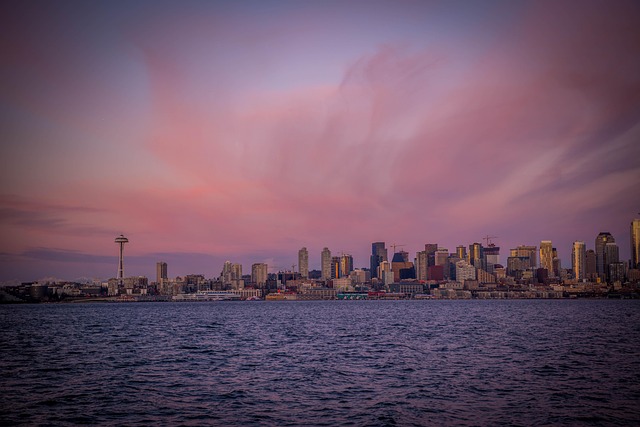 seattle emergency plumber