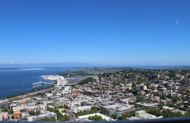 seattle leak detection