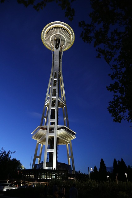 seattle plumbing