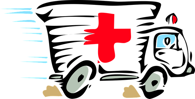 sem services