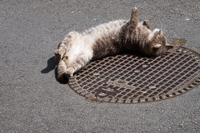 sewer connection