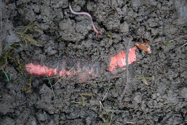 sewer-root-removal-640x480-96026771.jpeg