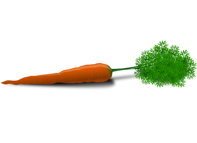 sewer root removal