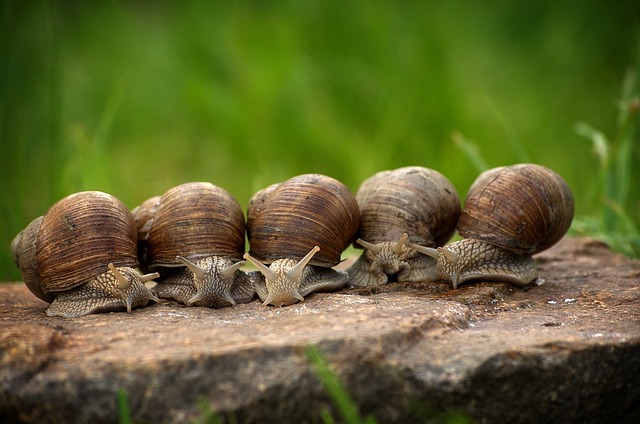 slow drain
