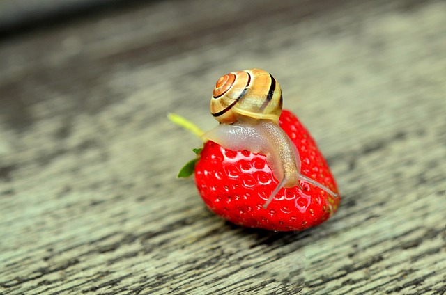 slow-drain-640x480-82672194.jpeg