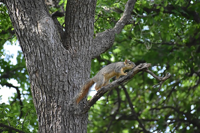 squirrel-hill-plumbing-640x480-66715062.jpeg