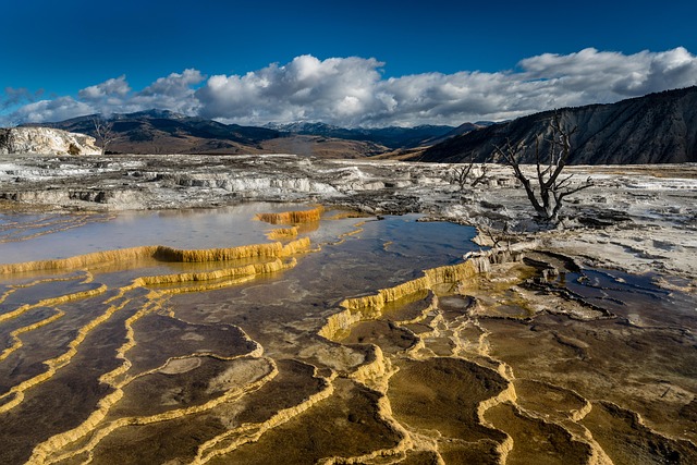 thermal leak detection