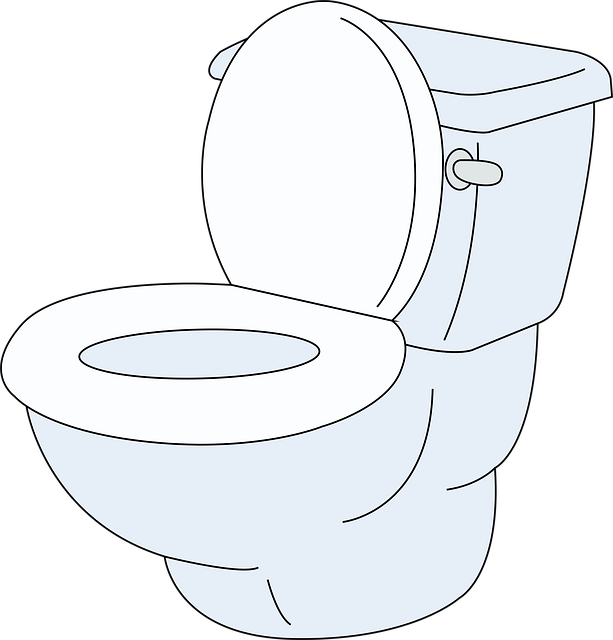 toilet flush valve