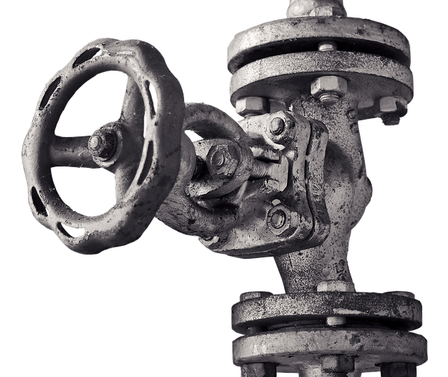 toilet flush valve