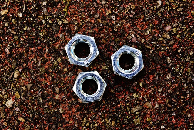toilet mounting bolts