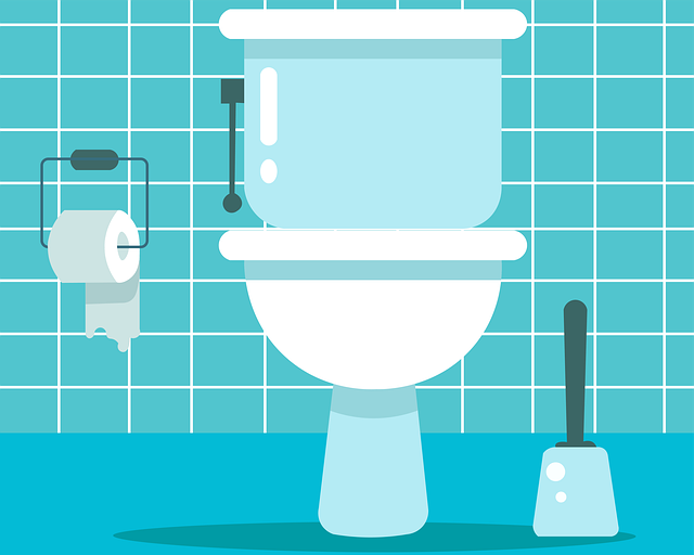 toilet repair