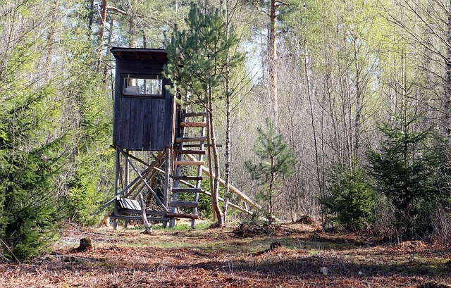 toilet-seat-installation-640x480-59068072.jpeg