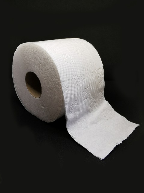 toilet service