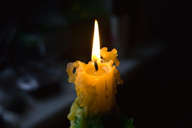 toilet wax ring