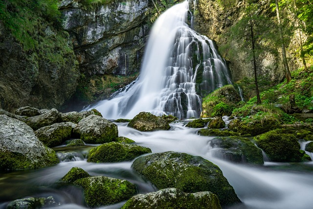 turkey creek plumbing