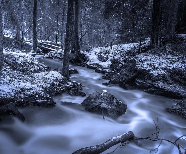 turkey creek plumbing