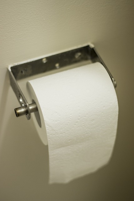 wall hung toilet