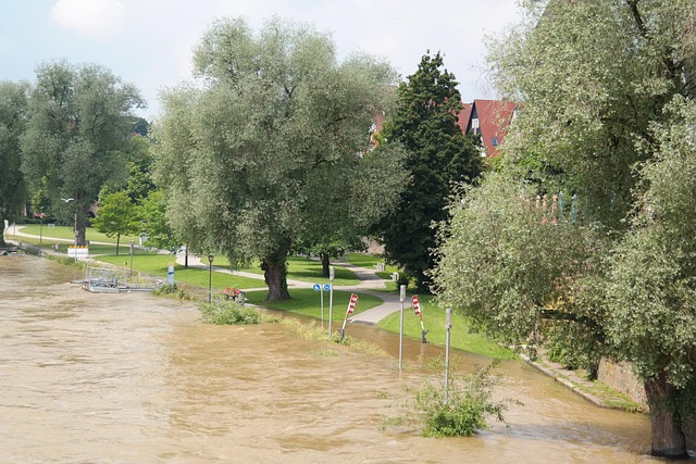 water damage prevention