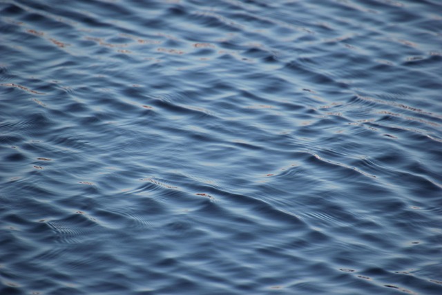 water-descaler-640x480-57251093.jpeg