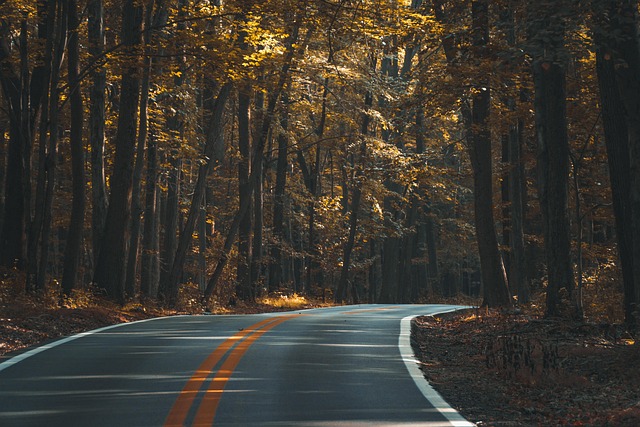 asphalt paving companies
