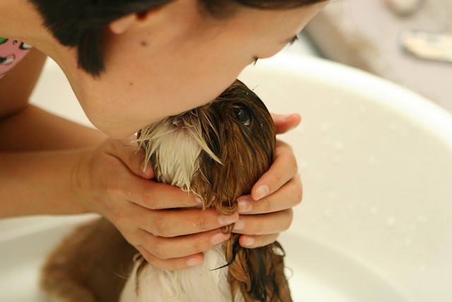 bath seo services