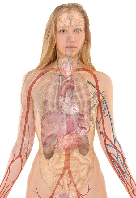 body spray installation