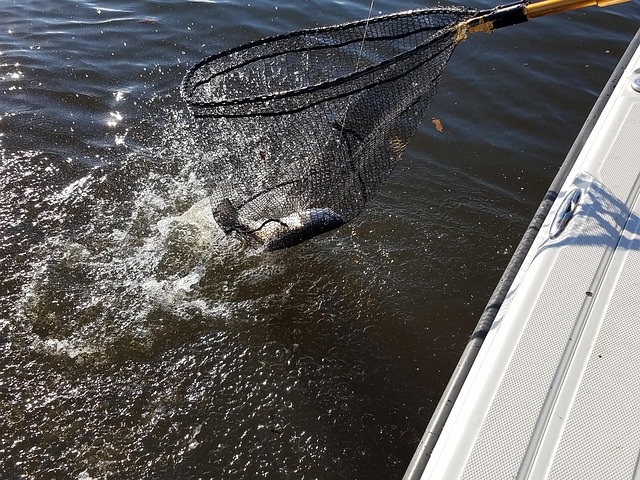 catch basin cleaning