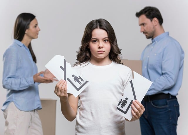 child custody legal services