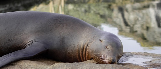 chip-seal-contractors-640x480-40825369.jpeg