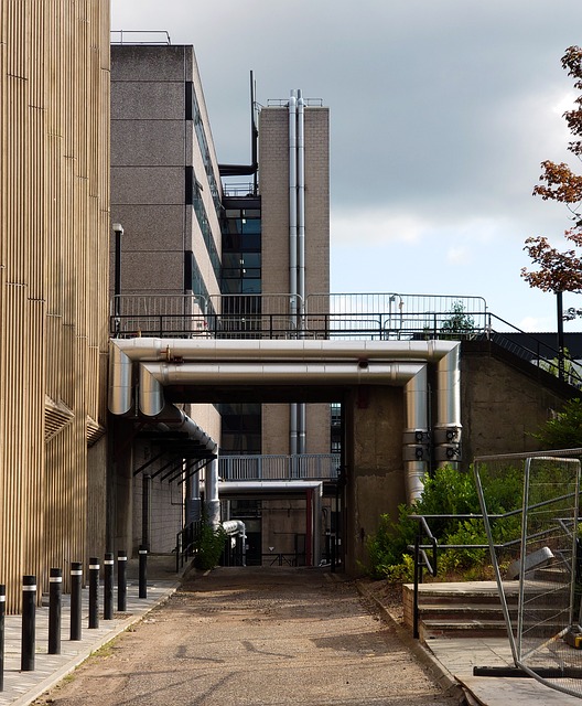 citation building services