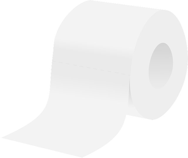 comfort height toilet